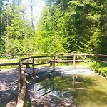 Parkowa Hubal Πανσιόν Rabka
