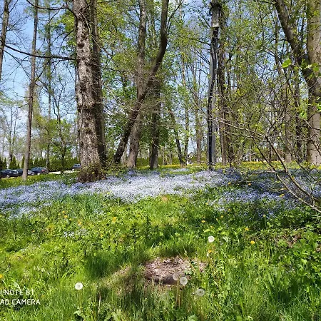 게스트하우스 Parkowa Hubal 라프카