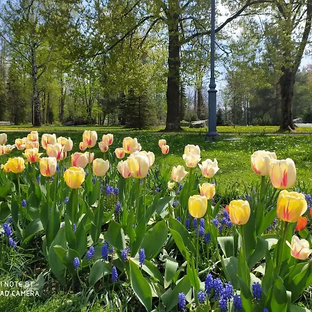 Parkowa Hubal Affittacamere 3*