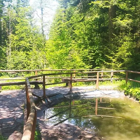 Parkowa Hubal 게스트하우스 라프카