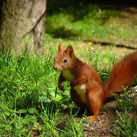Affittacamere Parkowa Hubal Rabka-Zdrój